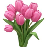 bouquet of pink tulips sticker