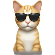 Cat with sunglasses sticker