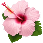 Light Pink hibiscus  sticker