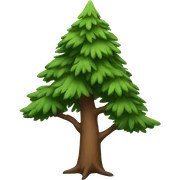 Pine tree sticker