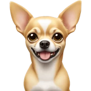 Chihuahua  sticker