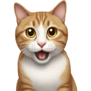 shocked kitty  sticker