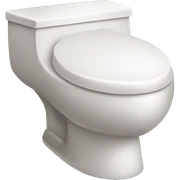 Clean Toilet sticker