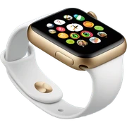 Apple Watch sticker