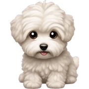 Maltipoo sticker
