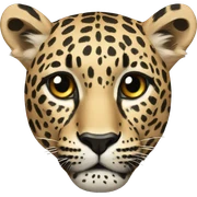 Leopard sticker