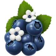 Blueberries  sticker