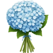 White and blue hydrangea  bouquet sticker