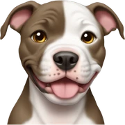 Pitbull puppy sticker