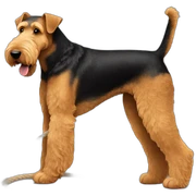 Airedale playing with a rope sticker