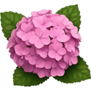 Pink hydrangeas  sticker