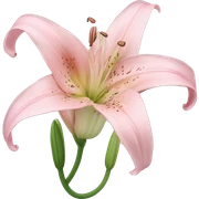 light pink lilium sticker