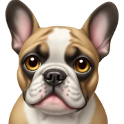 french bulldog  sticker