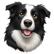 Border collie sticker