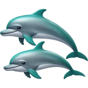 Two dolphins happy sticker