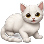 kittens sticker