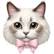 Cute Realistic ragdoll cat with pale pink bow sticker