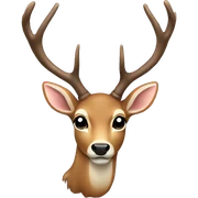 deer sticker