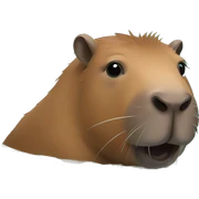 Capibara in the water  sticker