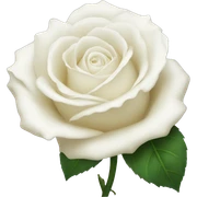 White Rose sticker