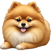 Sleeping Pomeranian sticker
