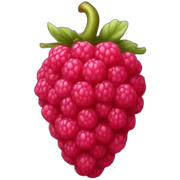 rasberry sticker