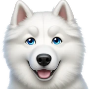 All white husky  sticker