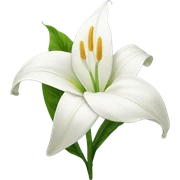 Peace lilies flower sticker