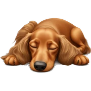 Longhaired Dachshund sleeping sticker