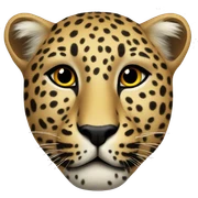 Leopard  sticker