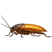 roach sticker