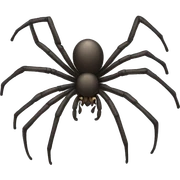 Spider  sticker
