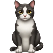 Cat  sticker