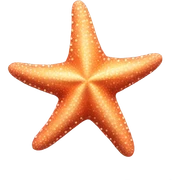 StarFish sticker