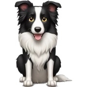 Border collie  sticker