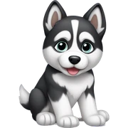 Husky puppy sitting sticker