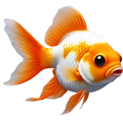 Oranda Goldfish orange white sticker