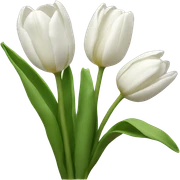 White tulips sticker