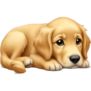 Golden retriever puppy laying sticker