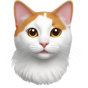 Cute turkish van cat sticker