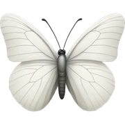white butterfly sticker