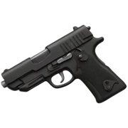 gun sticker