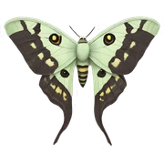 Lunar moth  sticker