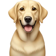Blonde Aussie Lab dog sticker