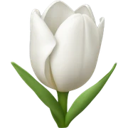 White Tulps  sticker