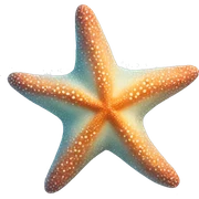 starfish sticker