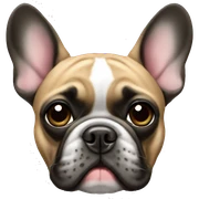 French bulldog sticker