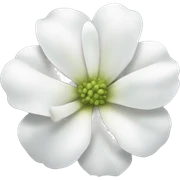 White flower  sticker
