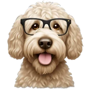 Labrodoodle with glassea sticker