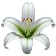 lily flower  sticker